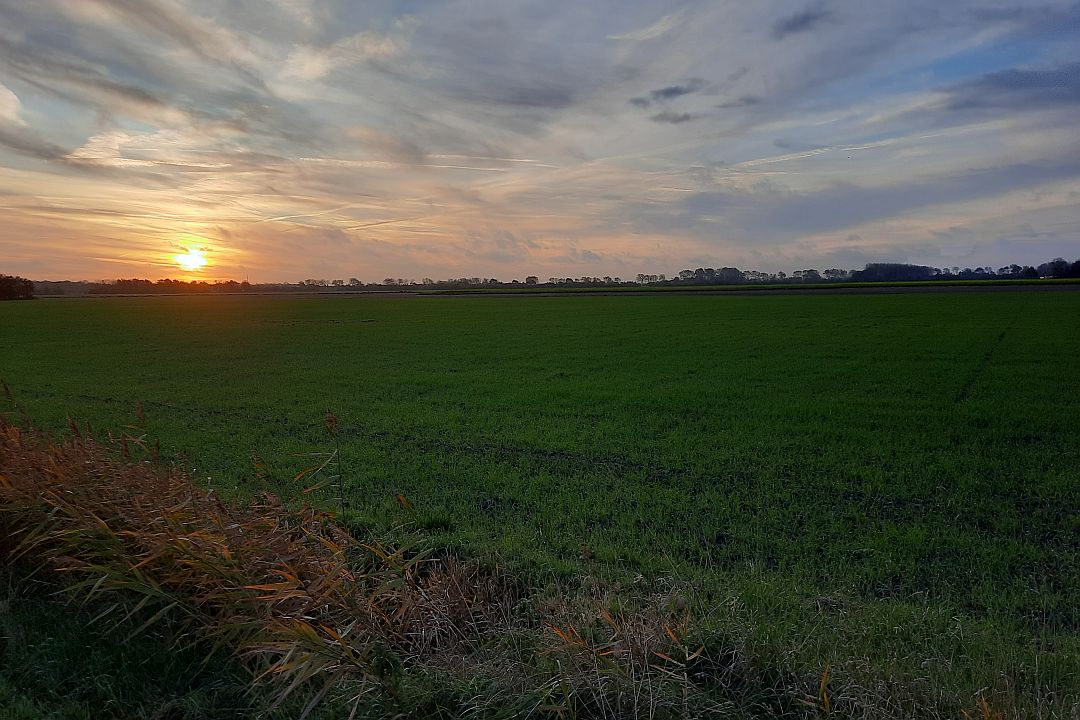 Wunderschöne Natur in Zeeland - Oostkapelle B&B „De Zon“